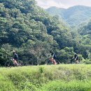 자전거쉼터 이미지