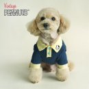 (주)위드독 이미지