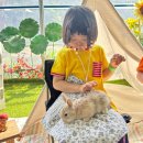 편백숲하우스울산 | [부산 근교 아이랑 가볼만한곳] 경주 썬트리휴 텐트 대여 후기, 6살 4살 아이랑 숲체험