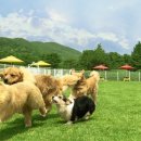 훼미리코리아 이미지