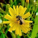 행복부동산중개 이미지