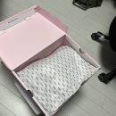 봄바람솔솔~ 패션운동화 (휠라에샤페블라썸) 무신사 내돈내산 후기 사이즈,착용감,착샷