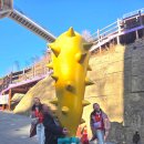 동해시-59 | 동해가볼만한곳 묵호여행 해랑전망대 도째비골스카이밸리