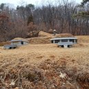 율곡천 1 이미지