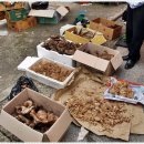 가은할인마트 이미지