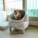 스마트글로벌 | 오픈형 고양이 자동화장실 앱 연동으로 관리 편한 코오롱글로벌 페테토 후기