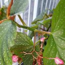 정산중학교 이미지