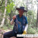 진산농장3 이미지