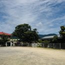 푸른초원 | [수동 애견운동장] 늘푸른초원 - 내돈내산 찐리뷰