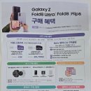 비소(보람)-일-8 | 갤럭시 z플립8 사전예약 성공 후기 및 z플립8 케이스 구매 꿀팁 (feat. 삼성전자 강남)