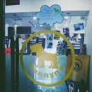 써니애견 이미지