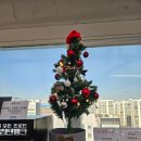 크로스핏 바로/바로 스트렝스 그룹PT/PT | 하안동크로스핏 모션스트렝스 어깨운동 그룹PT 후기