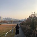 스시마당 네이버블로그