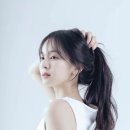 백서