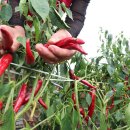 결성면 원천마을회관 이미지