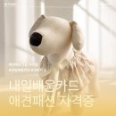 내일배움자격증센터 | 내일배움카드 국비지원 애견패션2급 자격증 후기, 강아지 옷 직접 만들어봤어요