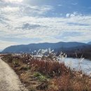 강변에서 이미지