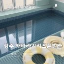 해바라기 키즈 풀빌라 | 경주 독채 방2개 해바라기키즈풀빌라 c동 내돈내산 방문후기