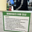 파크베어 | 은평구) 롯데몰 볼베어파크 키즈카페 후기