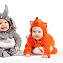 코끼리 환경 이미지