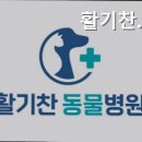 활기찬동물병원 네이버블로그