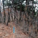 의림지-03 Daum카페