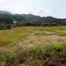 가평조종조종-3 이미지