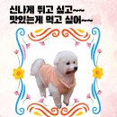 애니멀커뮤니케이션] 신나게 뛰고 싶고~~ 맛있는게 먹고 싶어~~