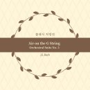 아리아로 듣는 음악세상 | [Rx. 142] 수면 음악 추천: 바흐가 남긴 가장 평화로운 선율, 'G선상의 아리아' (ft. 파헬벨)