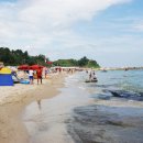 대대리 민박 | 여름휴가 정하셨나요~ 간이해수욕장을 검색해보아요~