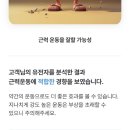 혈통 | 내돈내산 제노플렌엑스 유전자 검사 후기 / 유전자검사키트 후기/ 혈통검사 후기