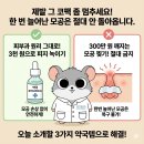 대신약국 이미지