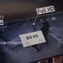 케이티씨씨티비