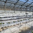 해와달농장 이미지