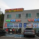 연안주차세차장 | 궁평항 배낚시 24시마린낚시 후기