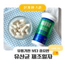 알만장 | 비피오 유산균 후기 | 장유산균 추천 비피오트루비피더스100 알약유산균