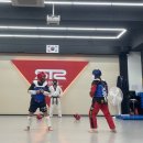 STS한국체대태권도 이미지