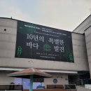 목포해양유물전시관 개관 30주년 특별전 후기 : &#39;10년의 바다, 특별한 발견&#39;