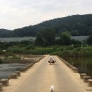 강쥐애견샵 | [충남] 계룡 애견용품샵 추천, 무인매장 아무도없개 계룡점