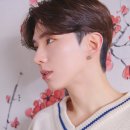 놀부전 이미지