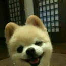 벨린다