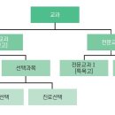 [선택과목 길잡이] 대입에서 '선택과목'이 중요하고 중요하고 또 중요한 이유! 이미지