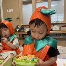오감 - 주황주황 귤나무🍊🍊 이미지