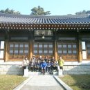 농암로(와룡면) 이미지