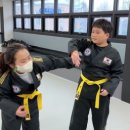 충의합기도 이미지