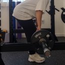 PT 더함 | 동춘동Pt 610에서 배운 헬린이 드디어 혼자 헬스장 가봄