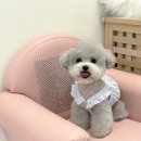 쉬리미용실