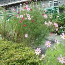 가평독채펜션힐링하우스 이미지