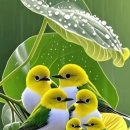 옹기종기 이미지