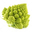 브로콜리(Broccoli :꽃단) : 녹색 허파꽈리채소 이미지